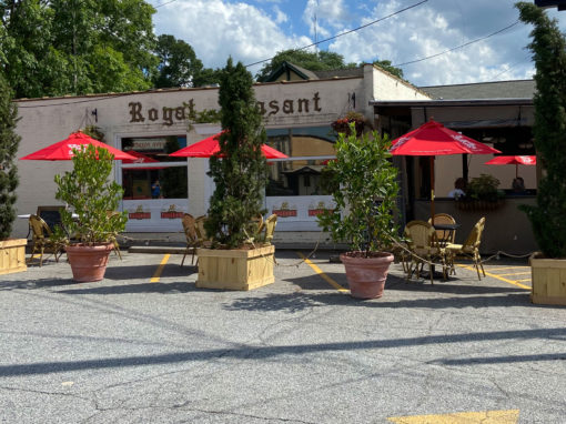 Restaurant Live Plant Rental After